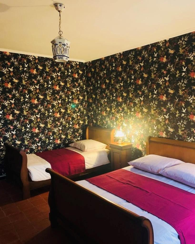 Bed and Breakfast La Babayaga Capestang Exterior foto